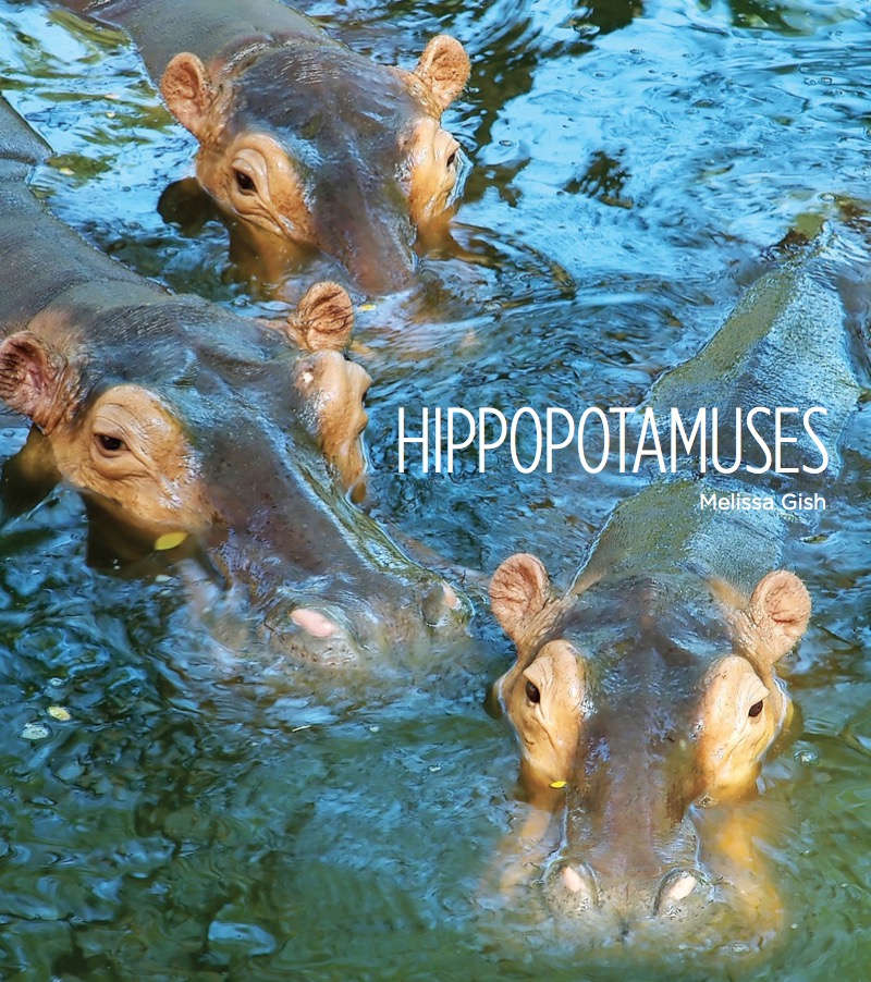 Hippopotamuses book cover