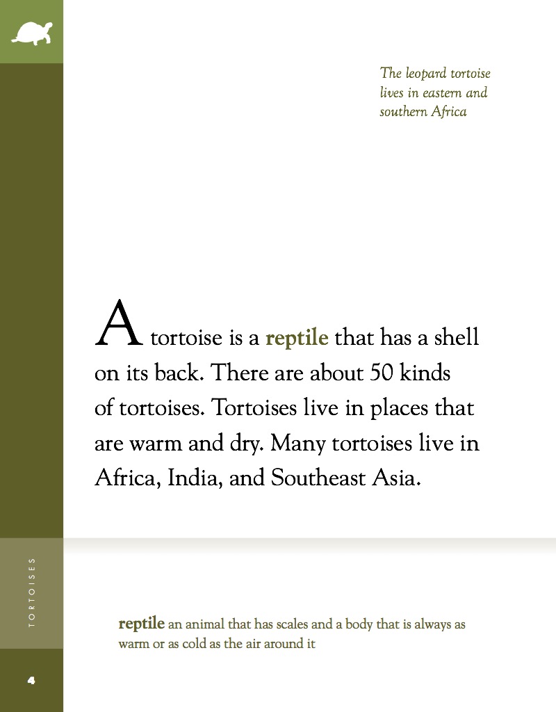 Tortoises — page 1