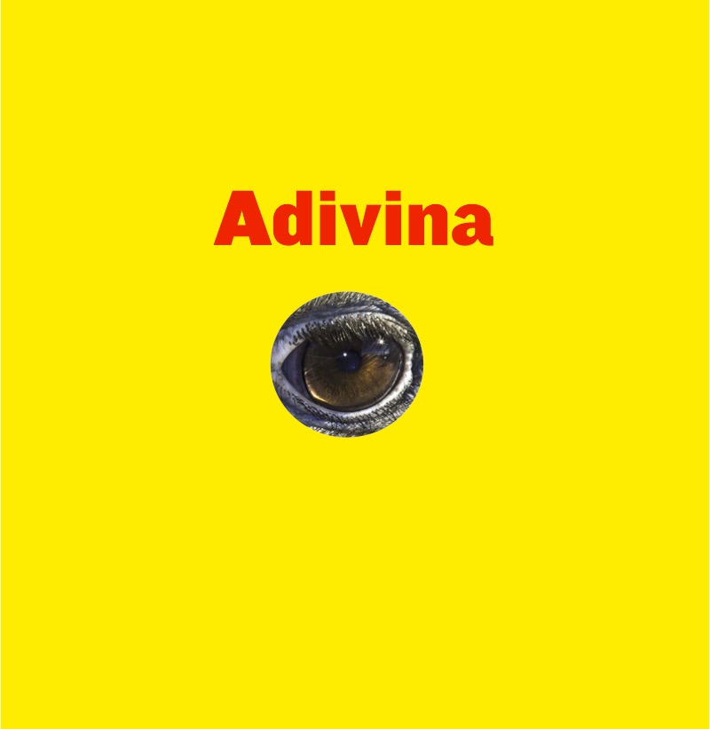 Velocidad sin vuelo: Avestruz book cover
