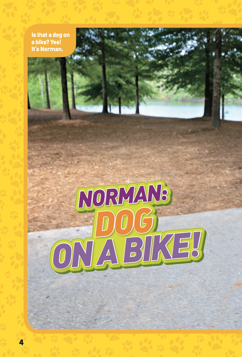National Geographic Kids Chapters: Dog on a Bike — page 1
