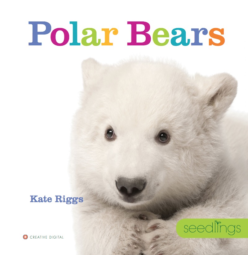 Polar Bears book cover