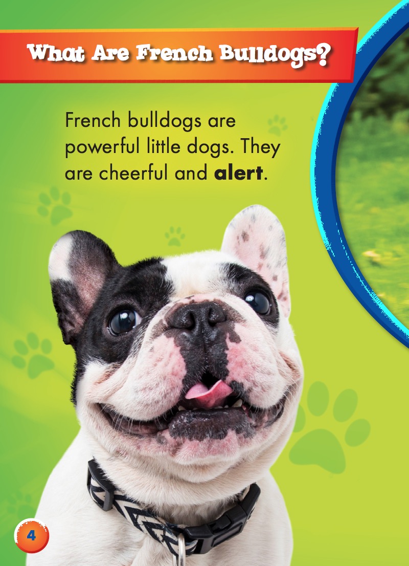 Awesome Dogs: French Bulldogs — page 1