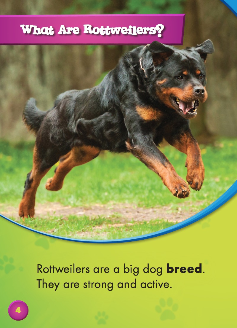 Awesome Dogs: Rottweilers — page 1
