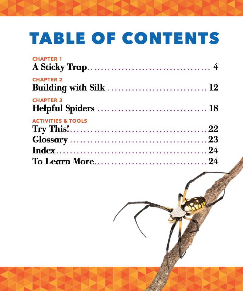 Spiders book cover