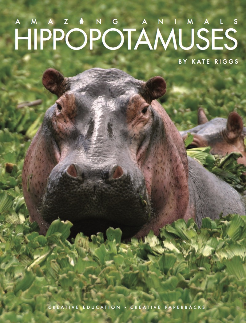 Hippopotamuses book cover