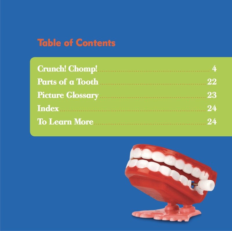 Teeth book cover