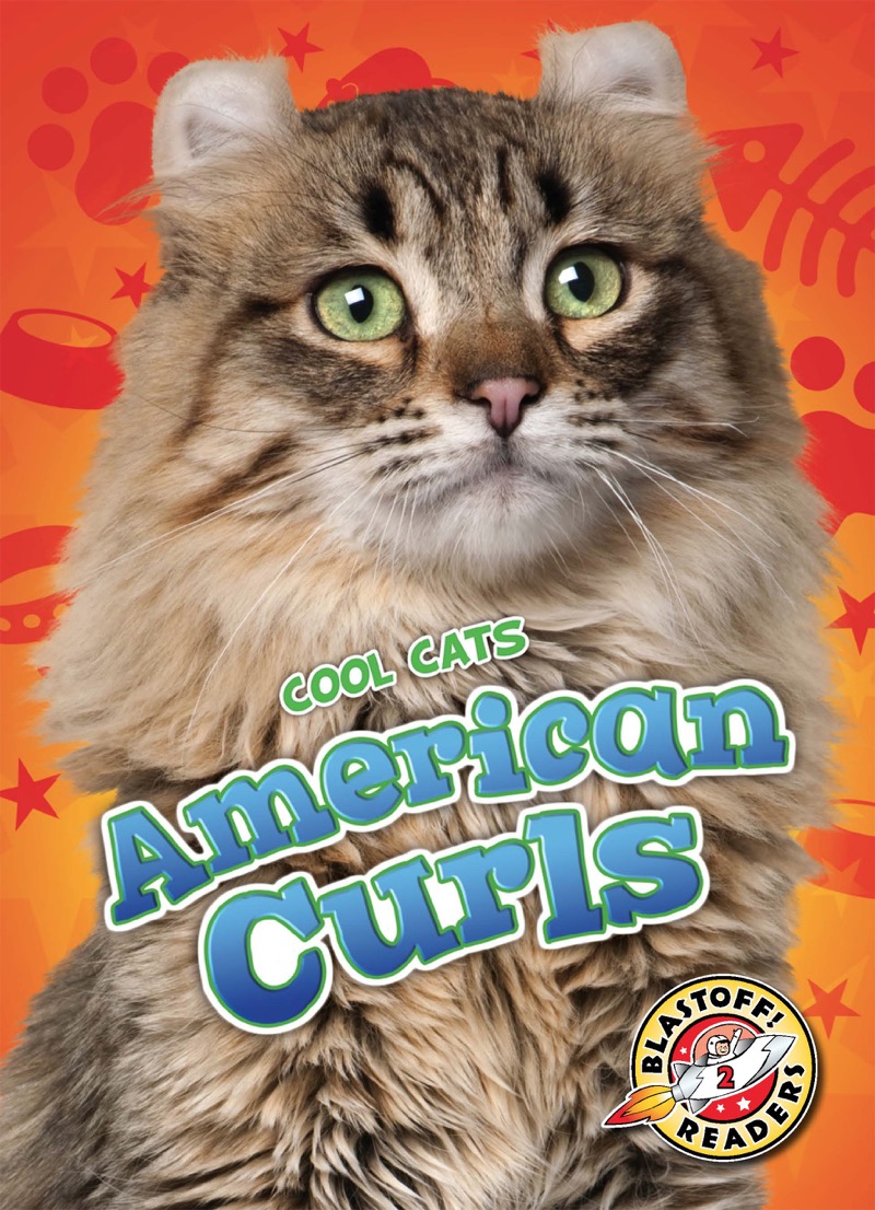 American Curls book cover