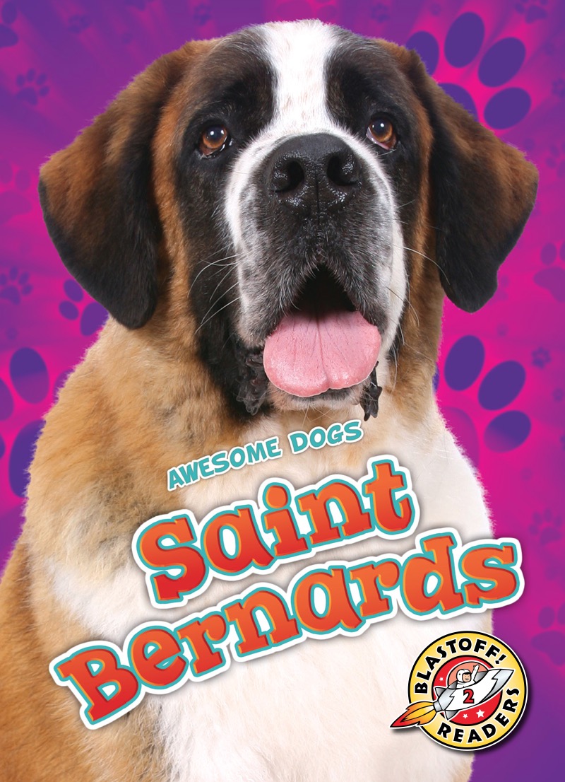 Saint Bernards book cover