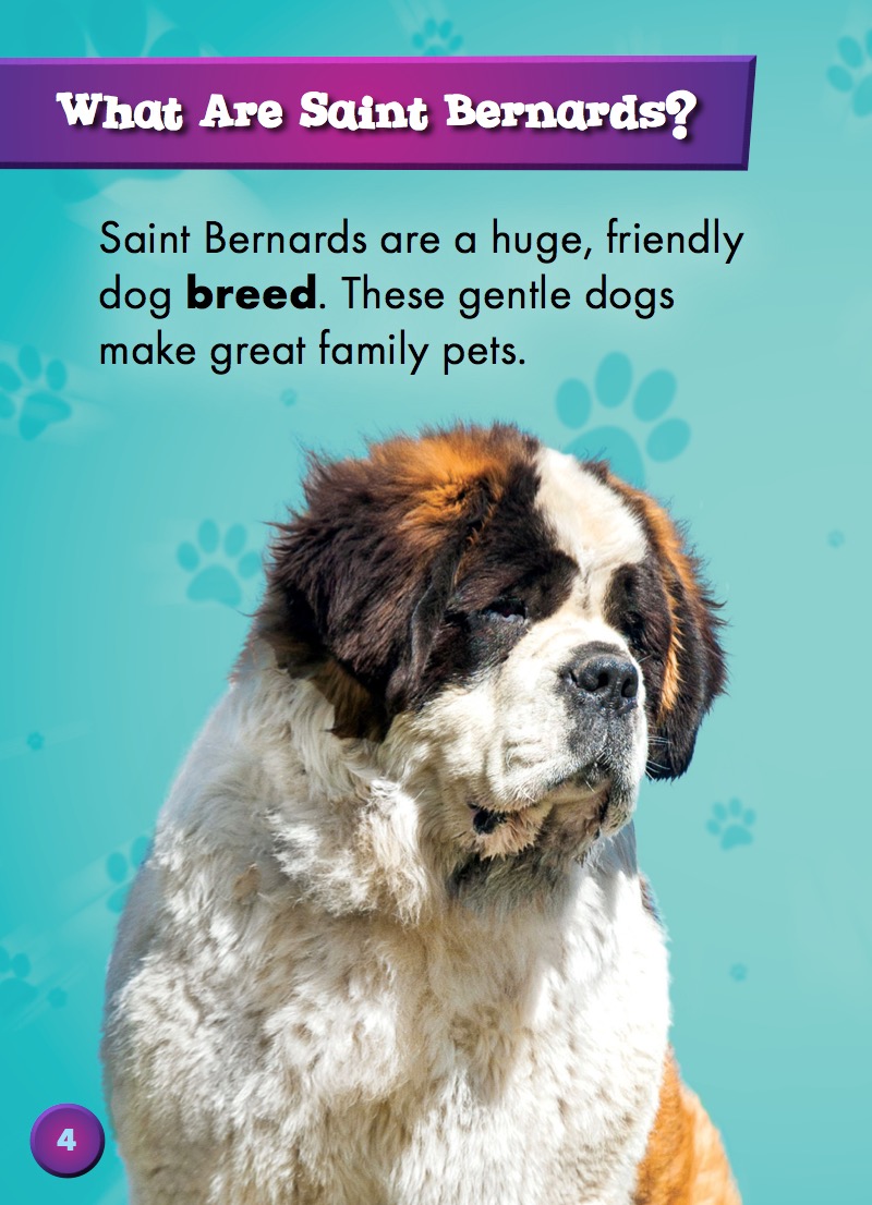 Saint Bernards — page 1
