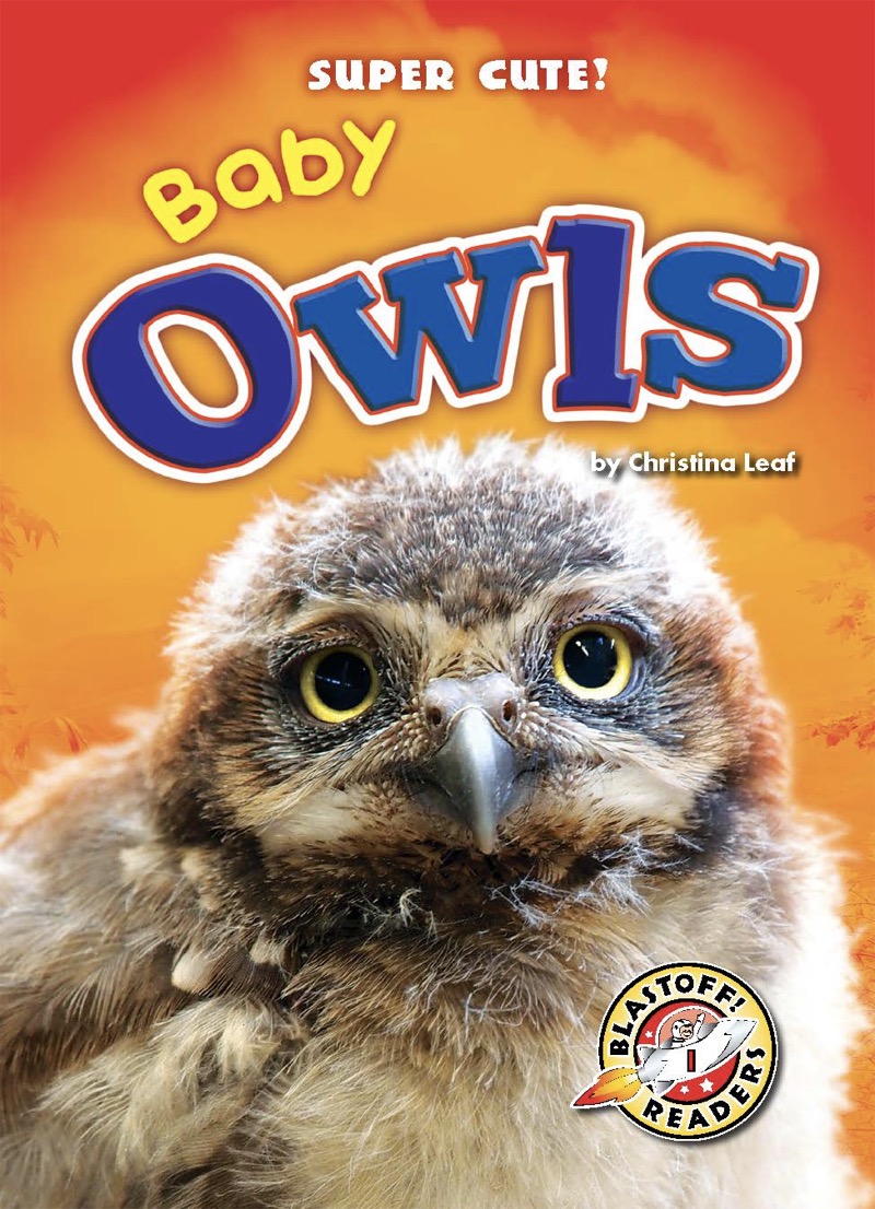 Super Cute! Baby Owls book cover