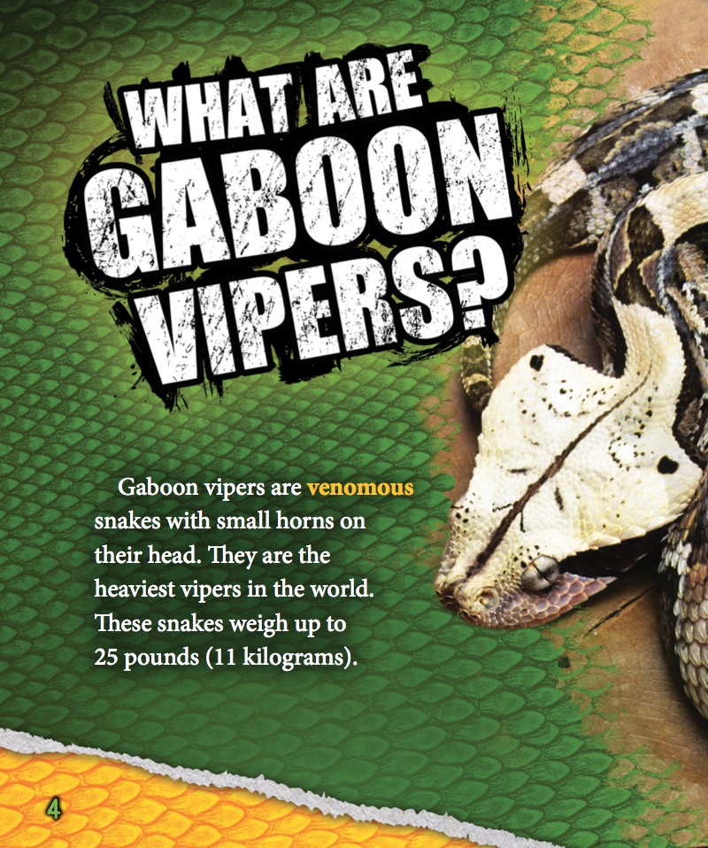Gaboon Vipers — page 1