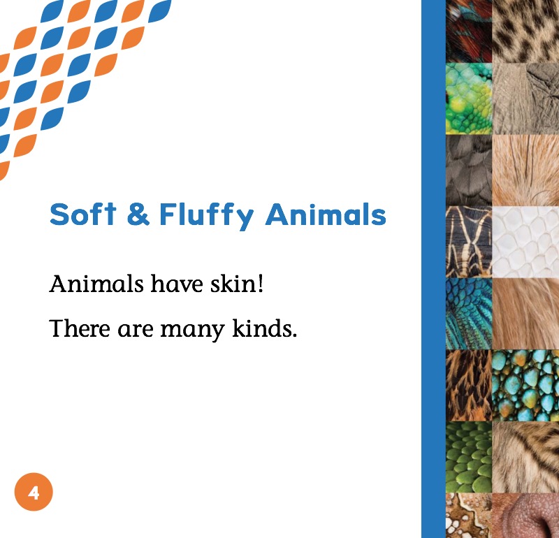 Soft & Fluffy Animals — page 1
