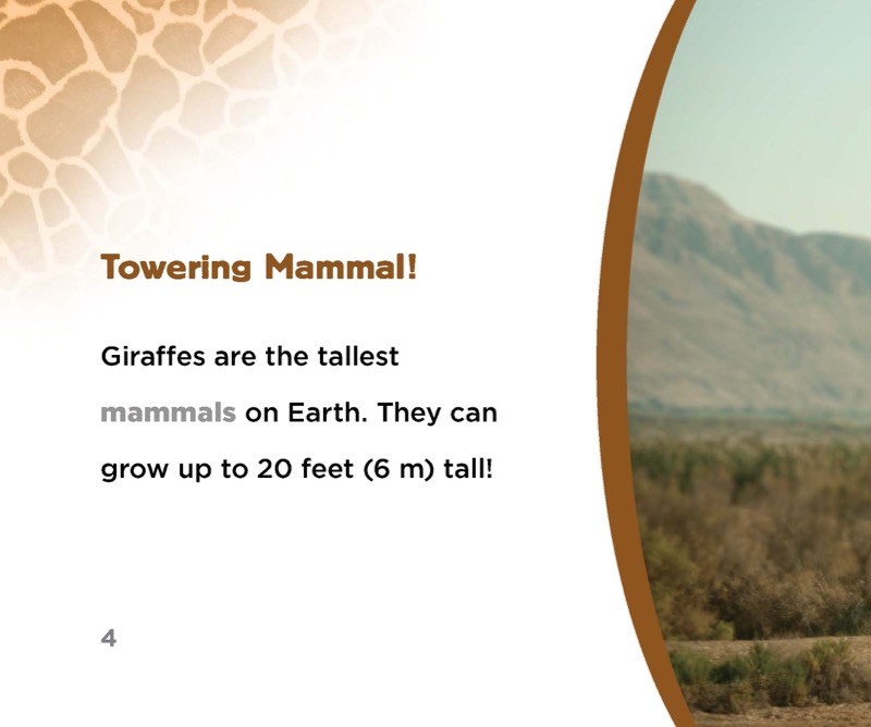 Giraffes — page 1