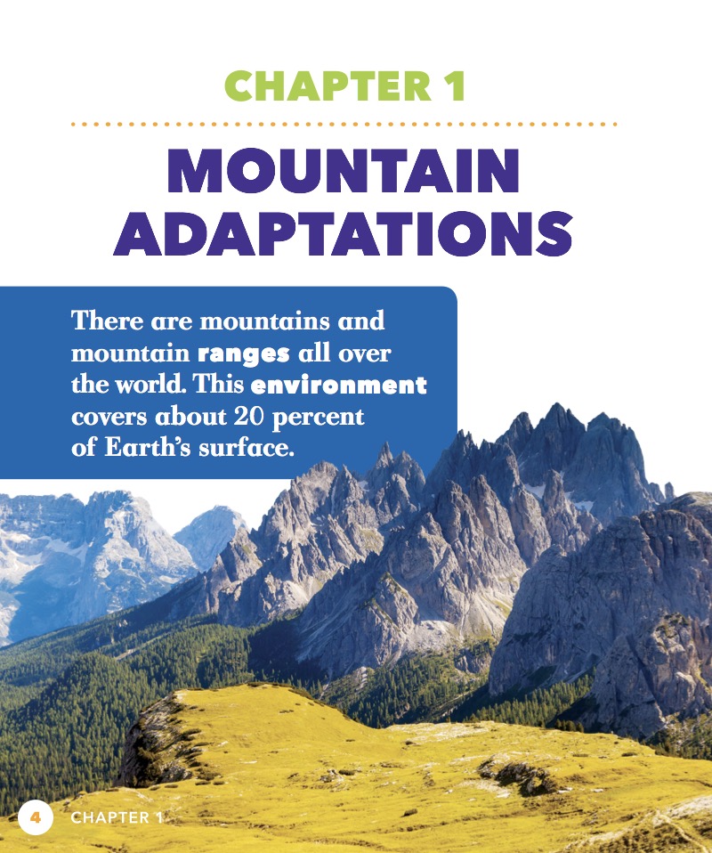 Mountain Food Chains — page 1