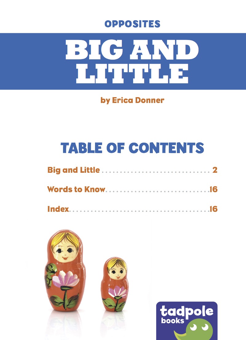 Big and Little book cover