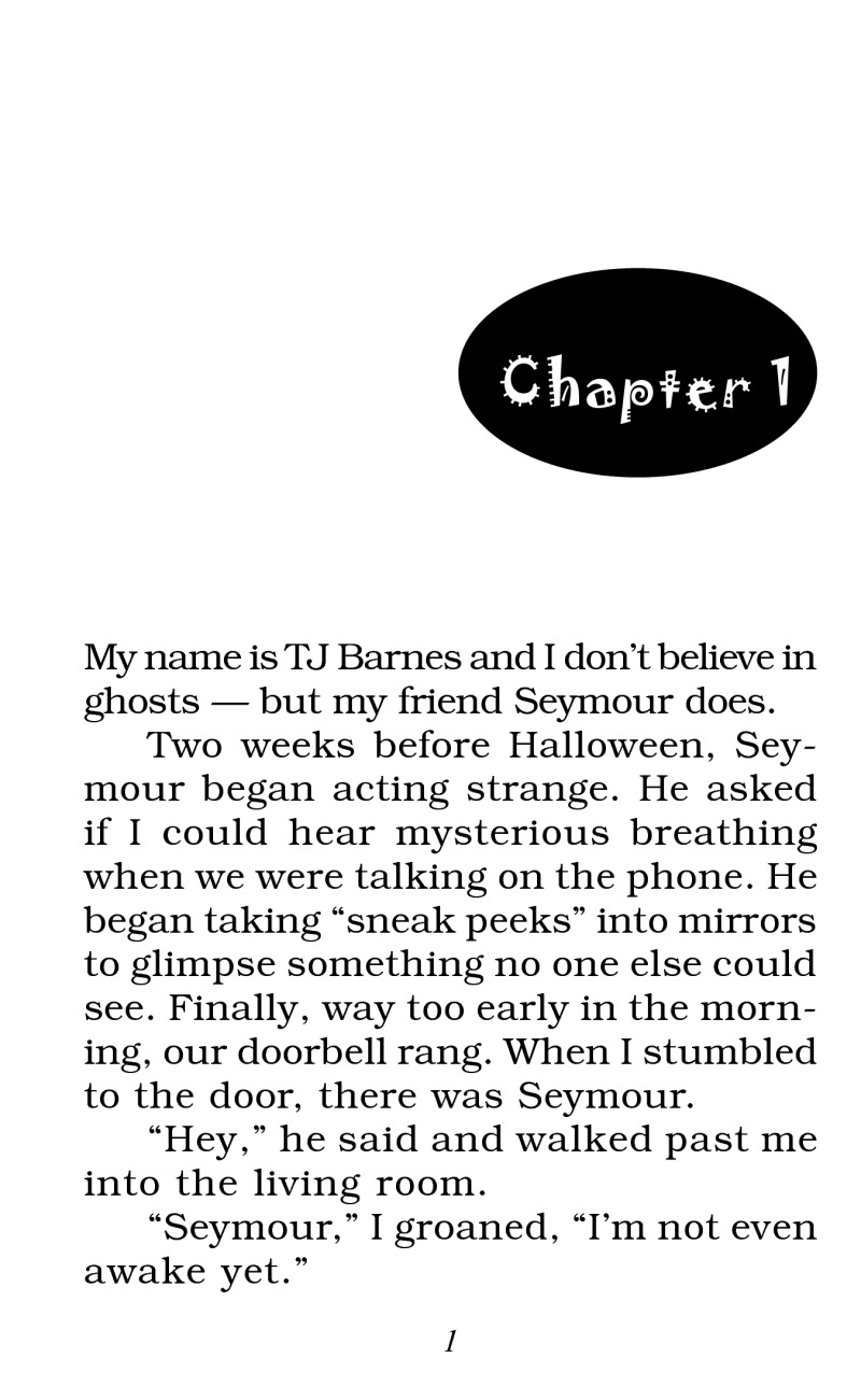 TJ and the Haunted House book cover