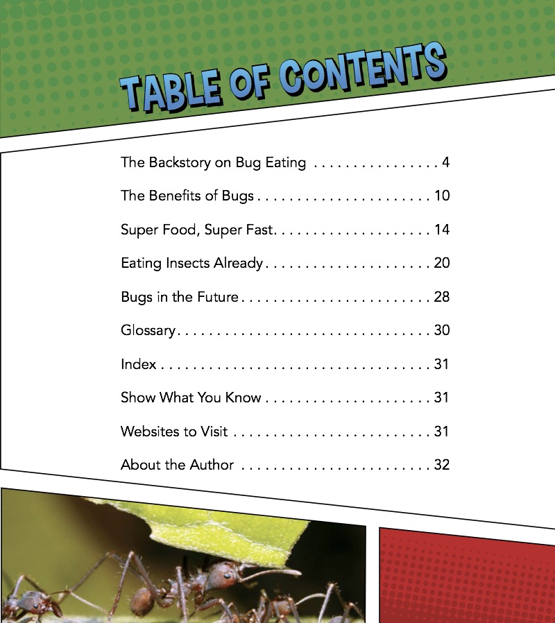 Insects as a Food Source book cover