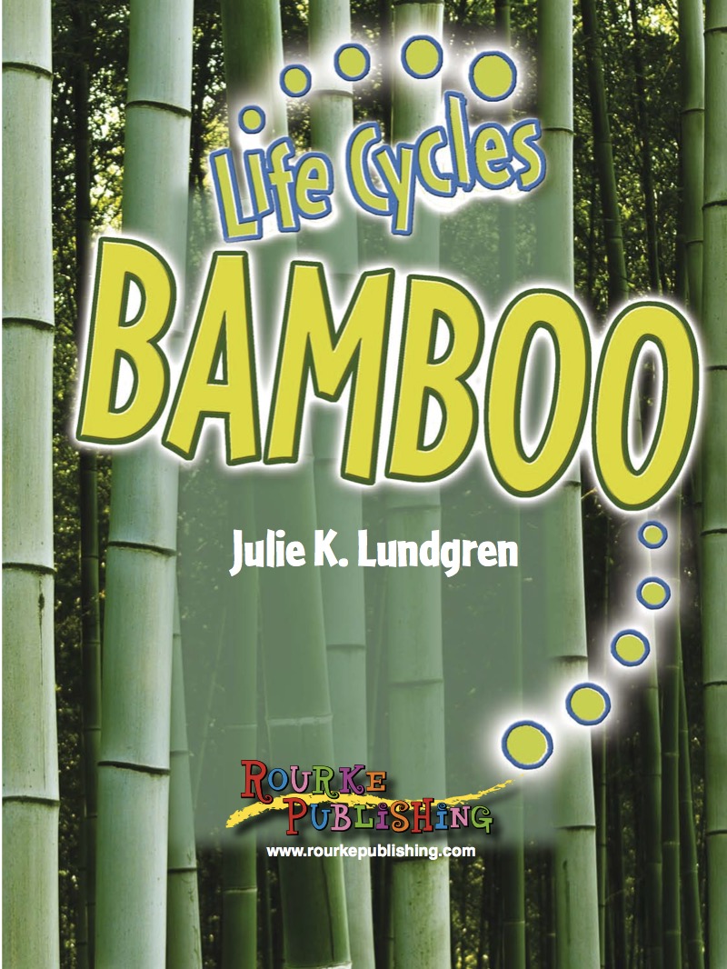 Bamboo book cover
