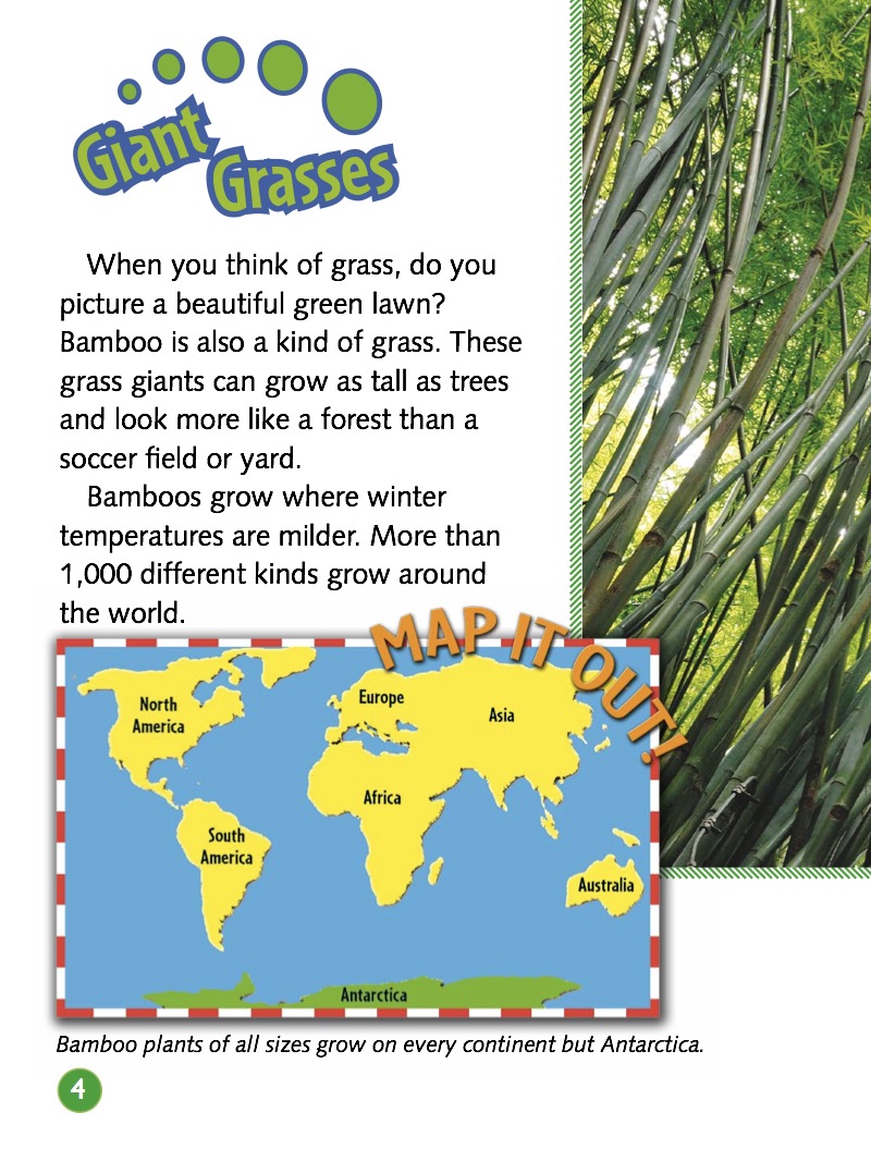 Bamboo — page 1