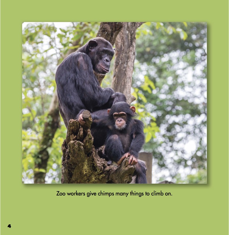 Explore a Workplace: Zoo — page 1