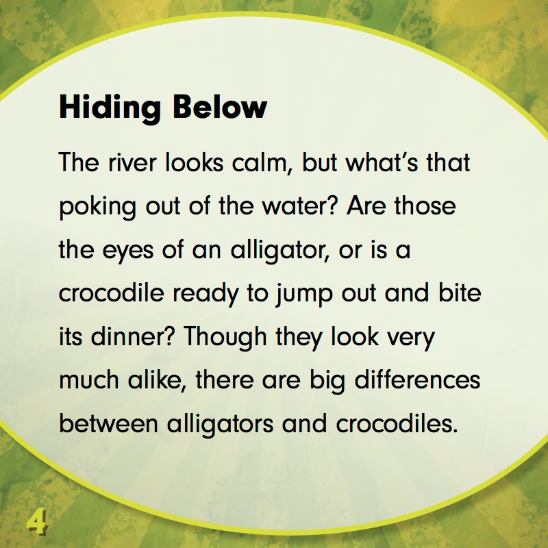 Alligator or Crocodile? — page 1