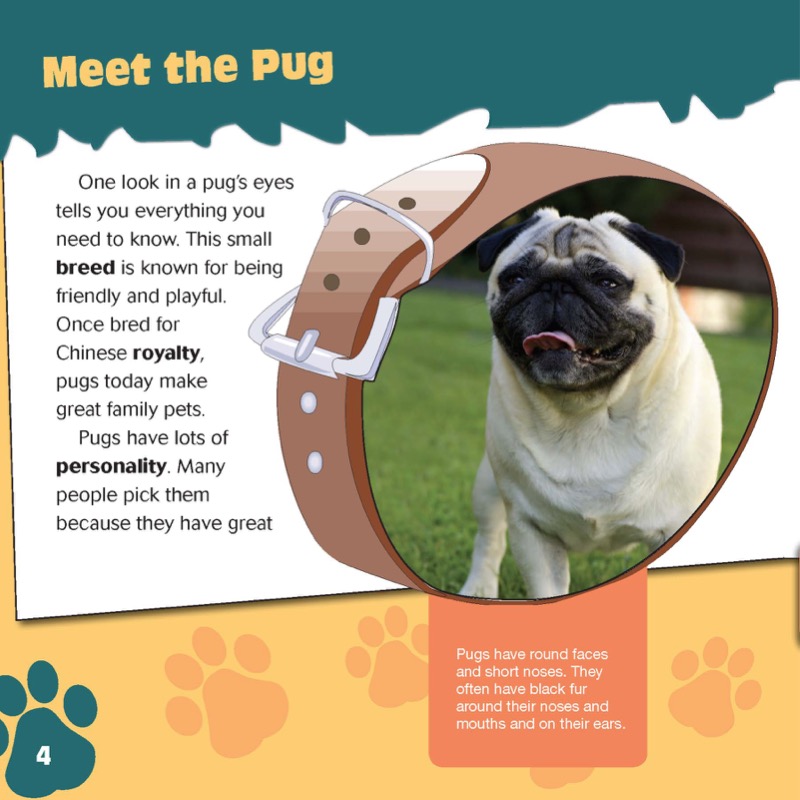 I Love My Pug — page 1