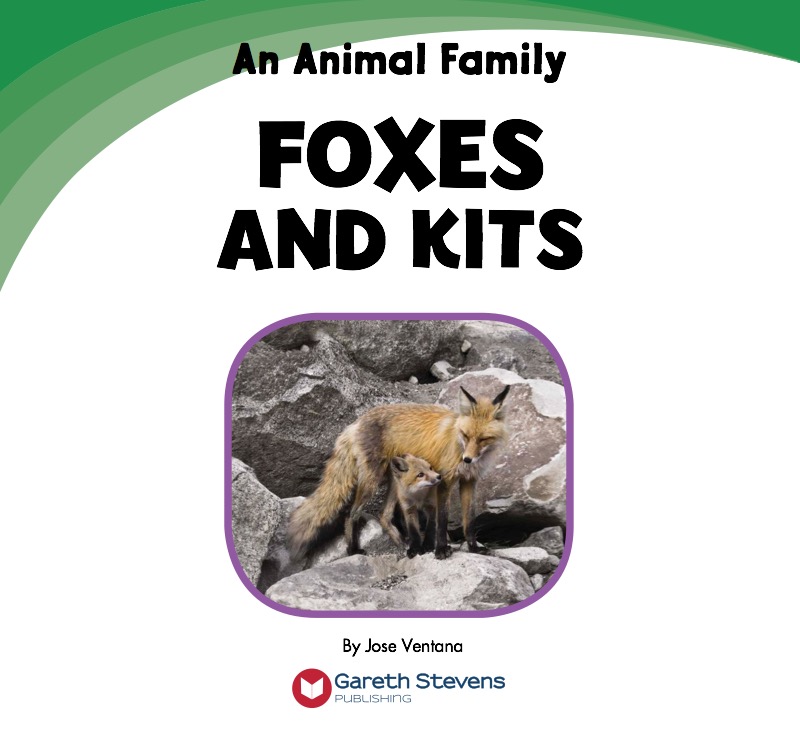 Foxes and Kits book cover