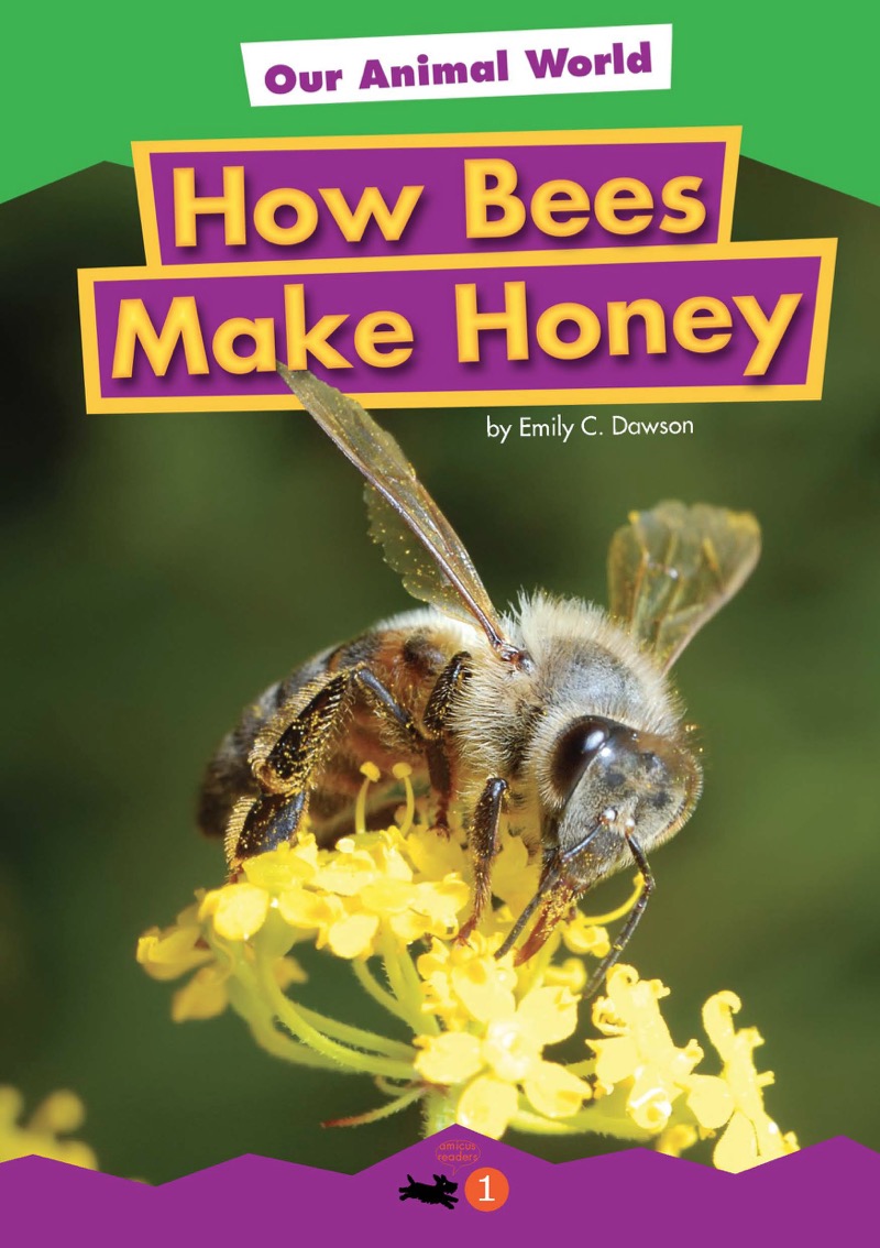 How Bees Make Honey book cover