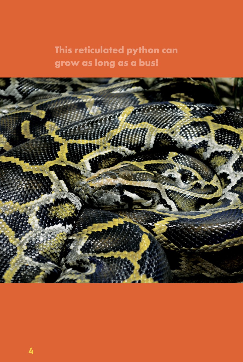Pythons — page 1