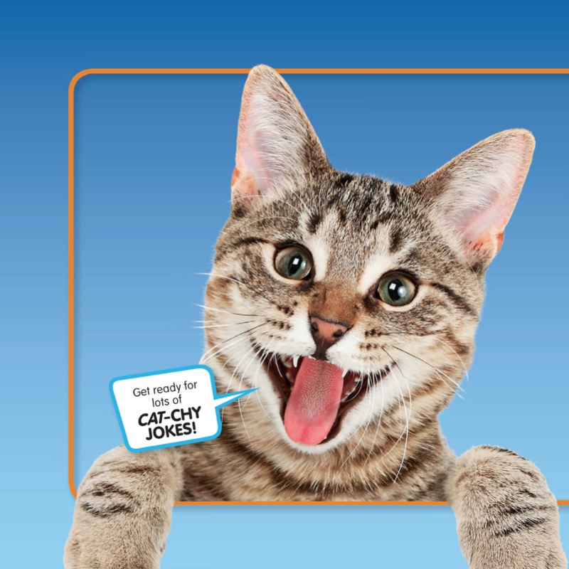 National Geographic Kids Just Joking Cats — page 1