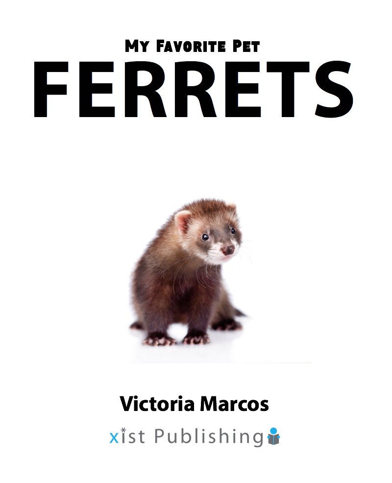 My Favorite Pet: Ferrets book cover