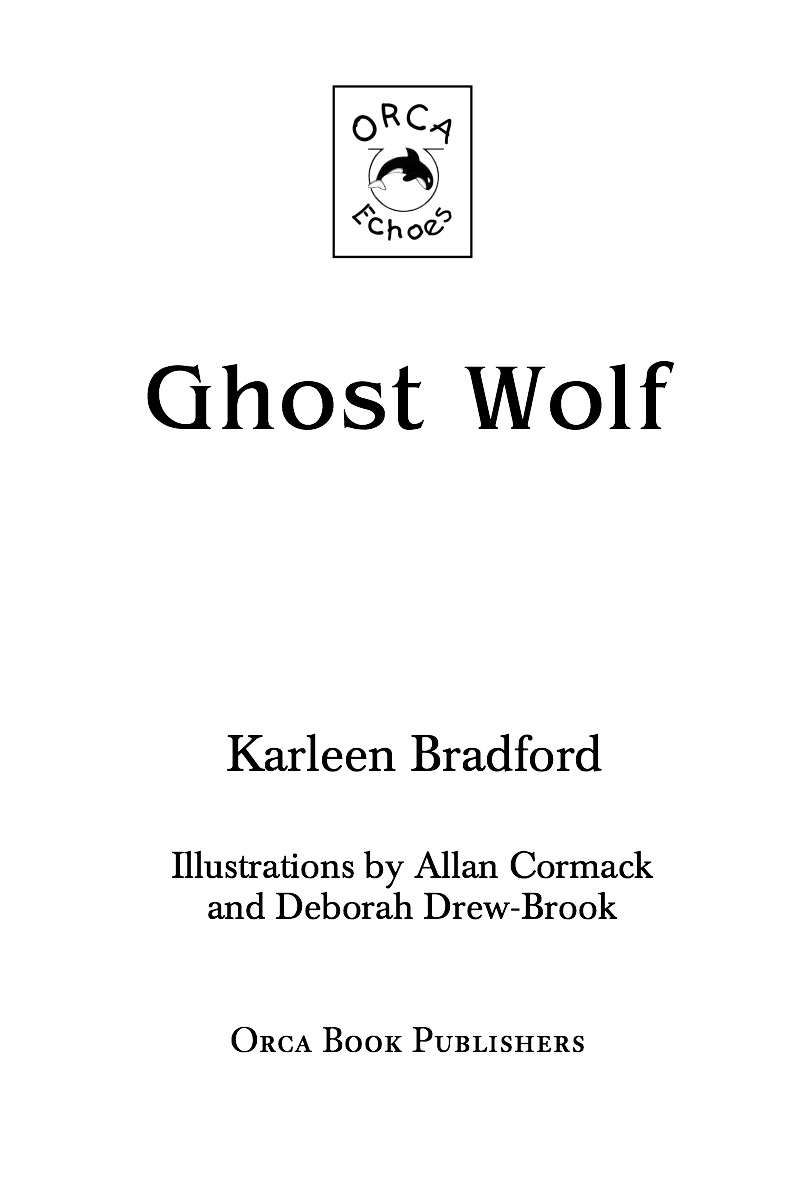 Ghost Wolf book cover