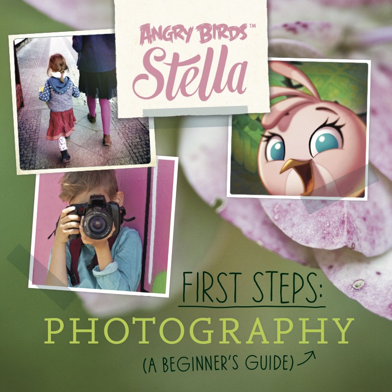 Angry Birds Stella: First Steps: Photography book cover