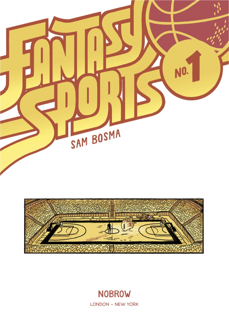 Fantasy Sports book cover