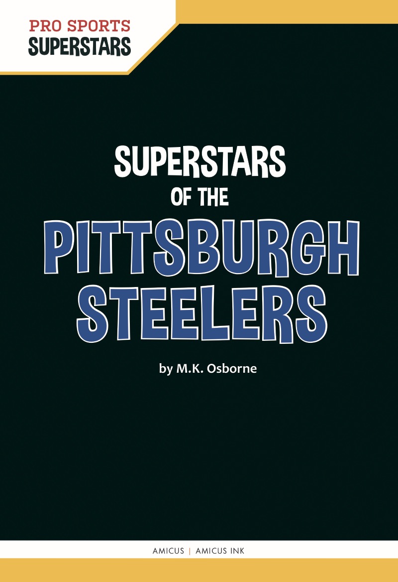 Pittsburgh Steelers book cover