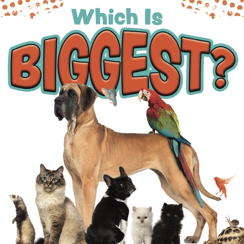 Which is Biggest? book cover