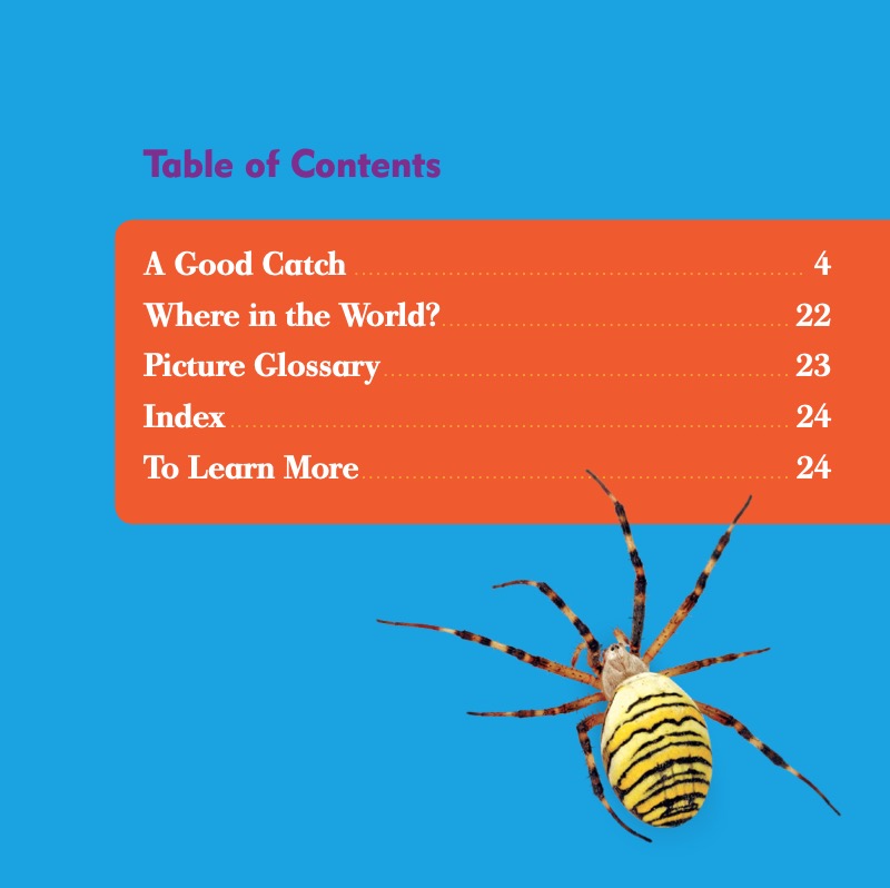 Garden Spiders book cover