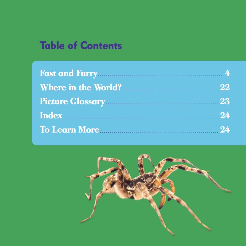 Wolf Spiders book cover