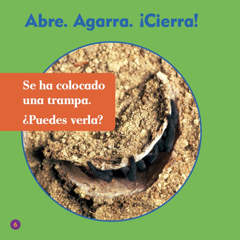 Las arañas tramperas — page 1