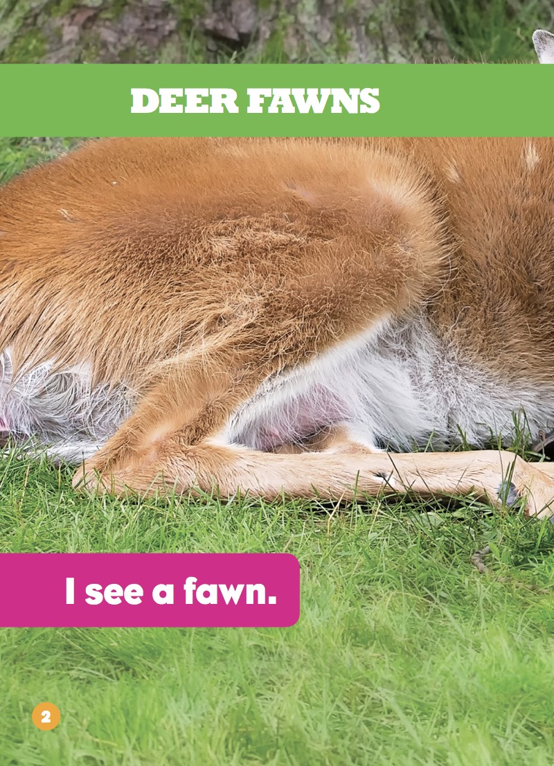 Deer Fawns — page 1