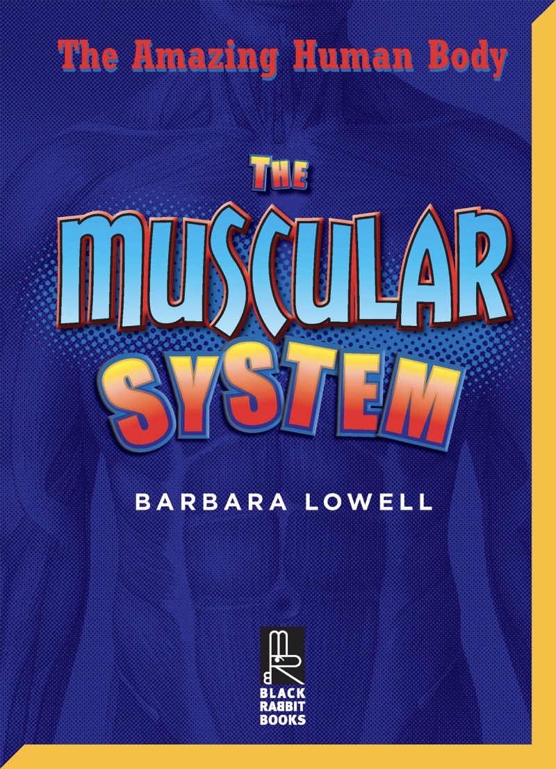 The Muscular System book cover