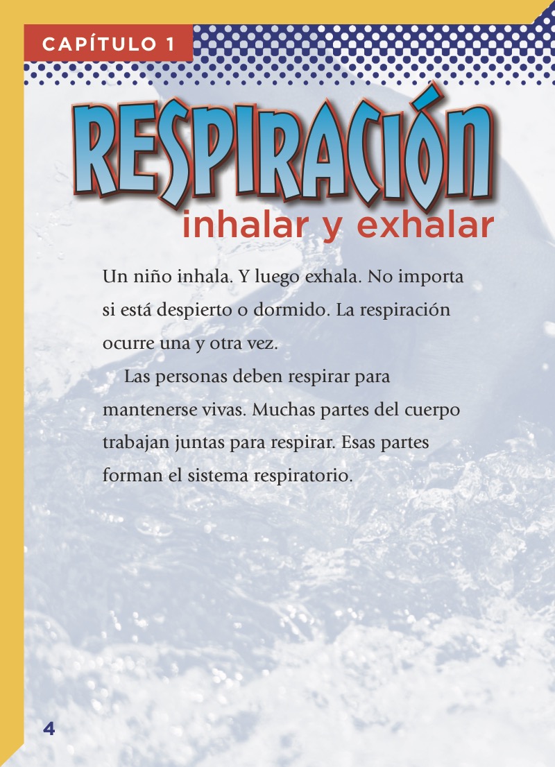 El Sistema Respiratorio — page 1