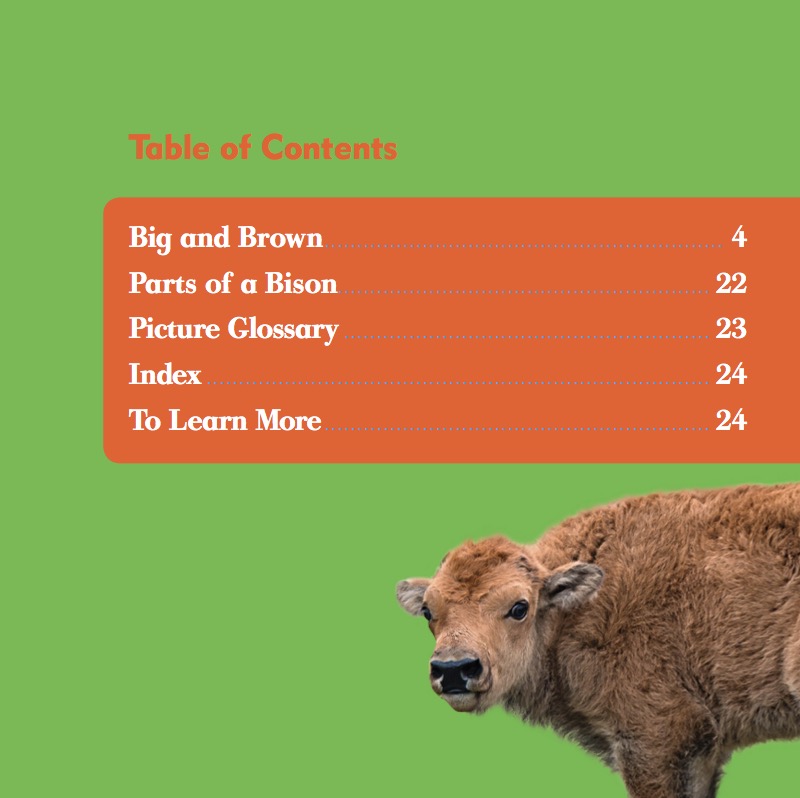 Bison book cover