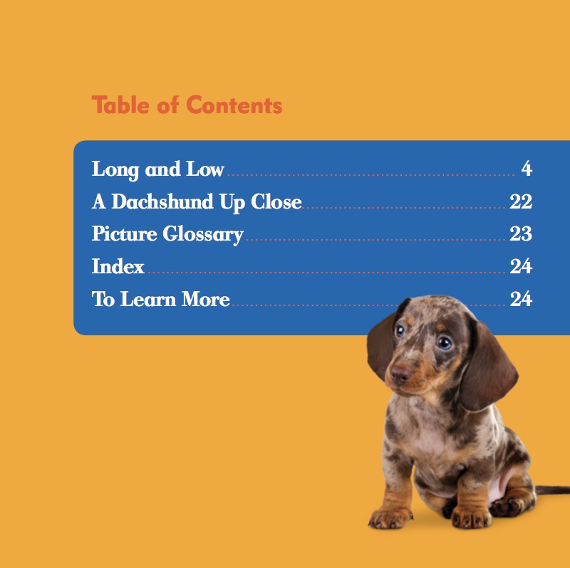 Dachshunds book cover