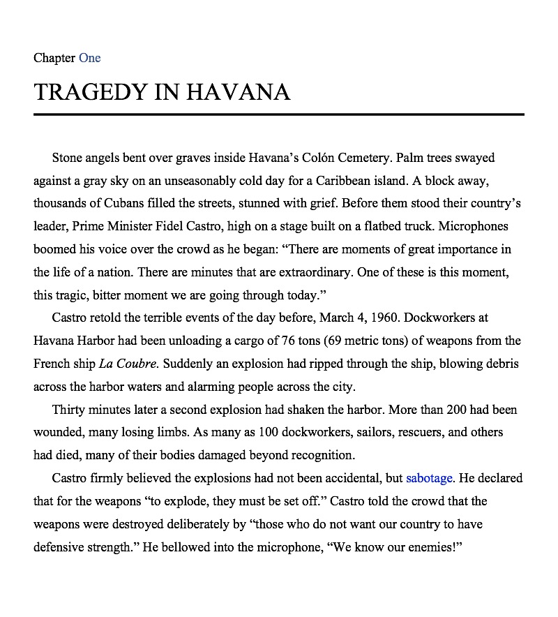 Che Guevara's Face: How a Cuban Photographer's Image Became a Cultural Icon — page 1