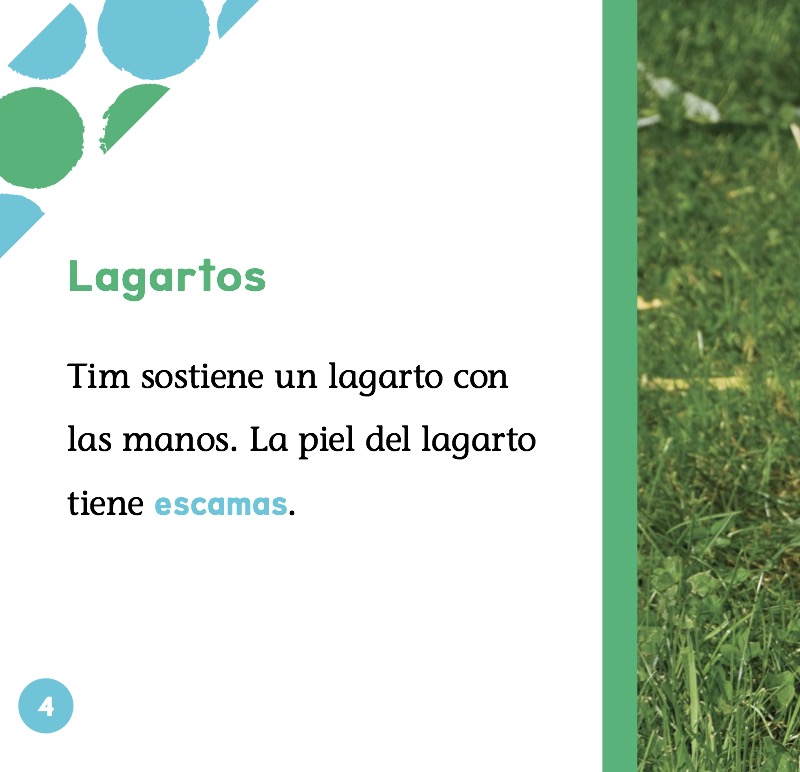 Lagartos — page 1