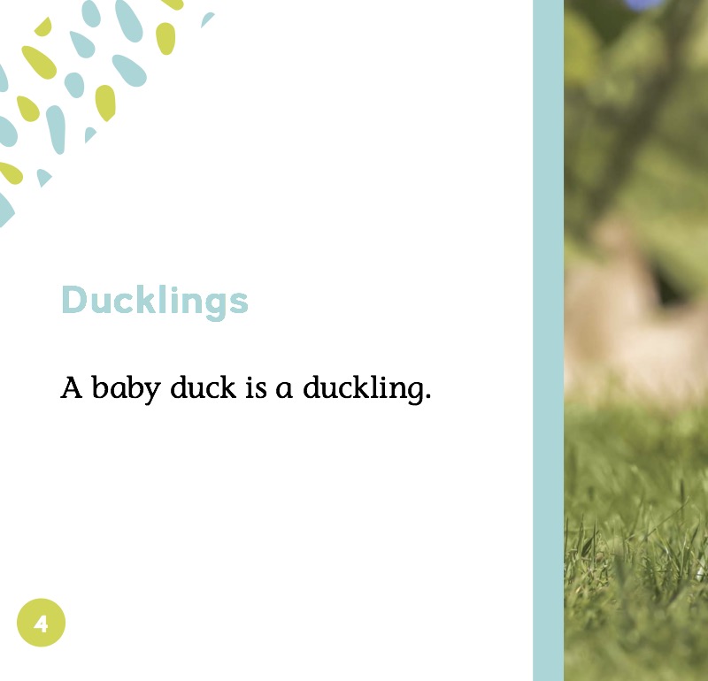 Ducklings — page 1