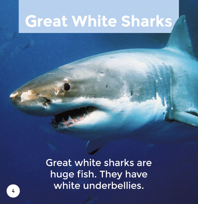 Great White Sharks — page 1