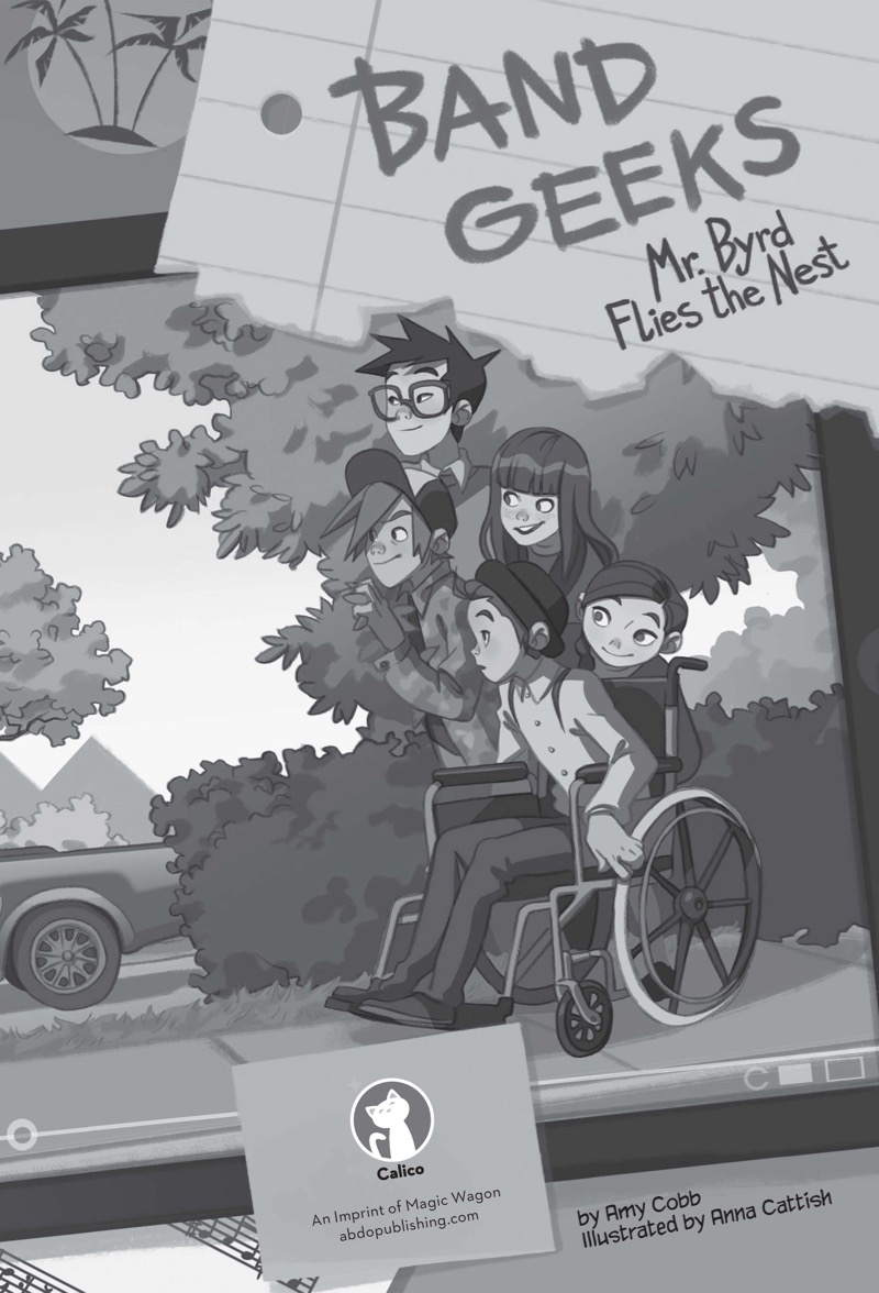 Mr. Byrd Flies the Nest book cover
