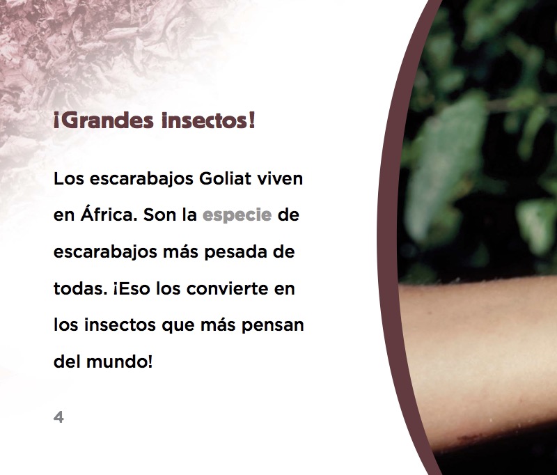 Escarabajos Goliat — page 1